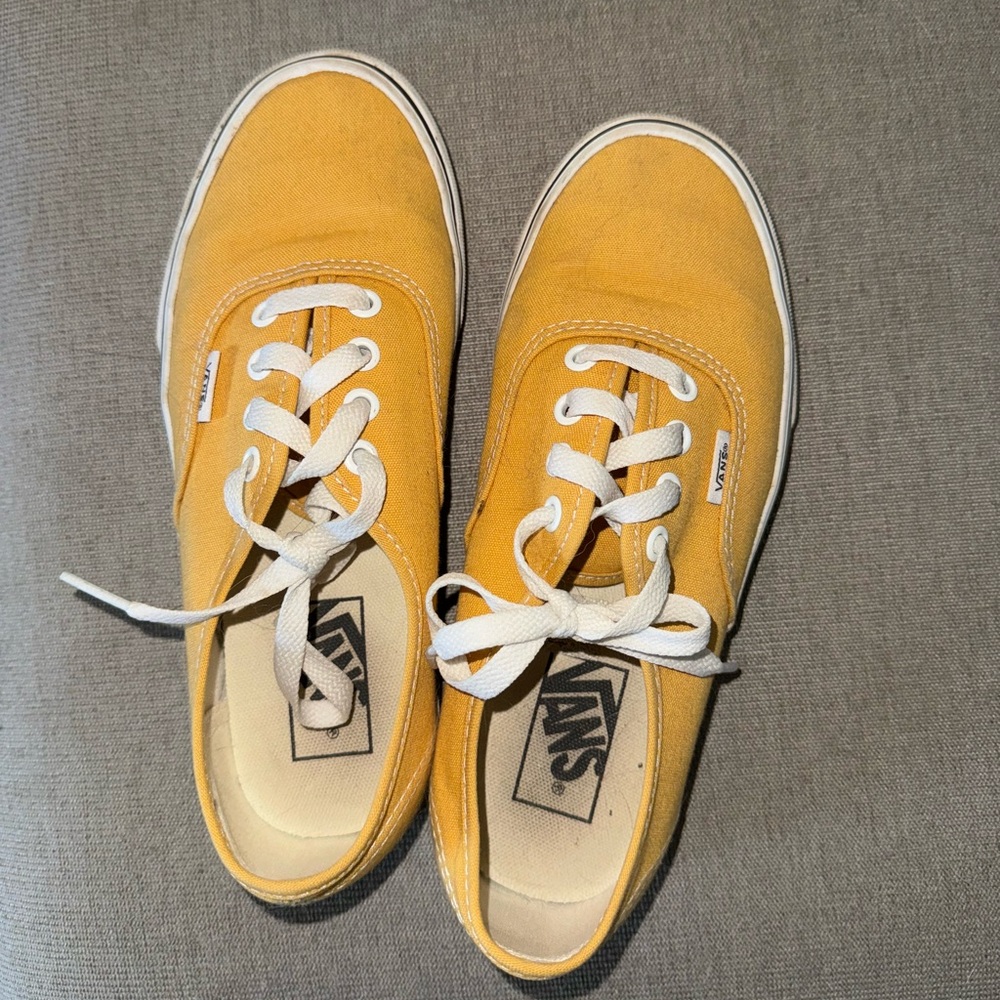 Canvas skate Vans